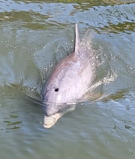 Private river tour with Captain Ron